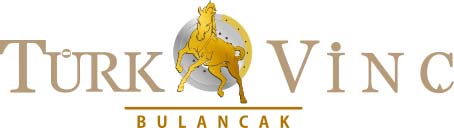Bulancak Vinç